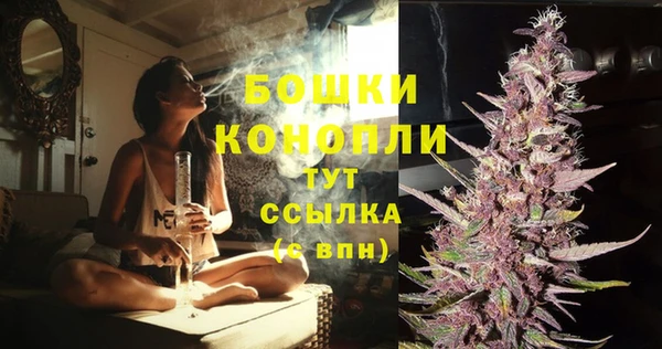 PSILOCYBIN Липки