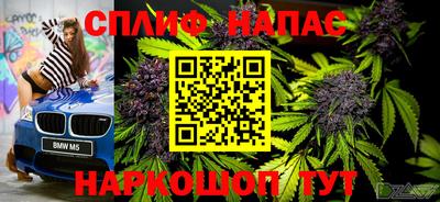 МДПВ Будённовск