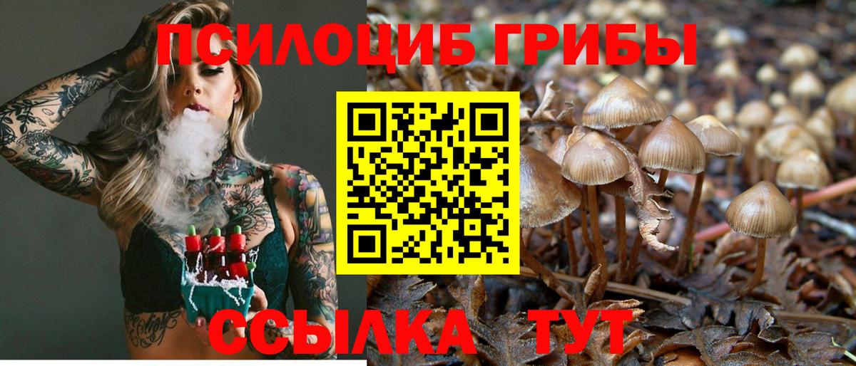 Псилоцибиновые грибы Magic Shrooms Выкса