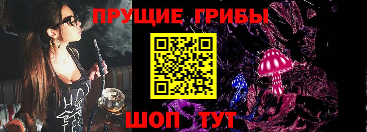 Галлюциногенные грибы Psilocybe Выкса