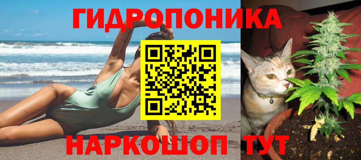 Канабис AK-47  Шишки марихуана AK-47  Выкса  Конопля конопля 